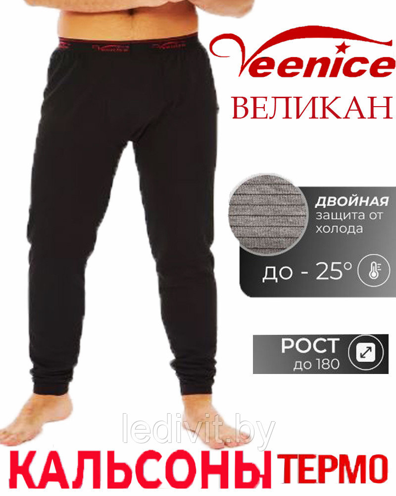 Термокальсоны мужские (большие размеры)